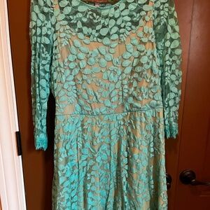 Mint Lace Sheer Illusion Dress